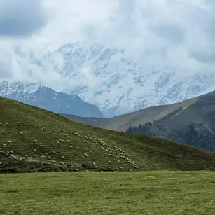 Ali Bedni Bugyal