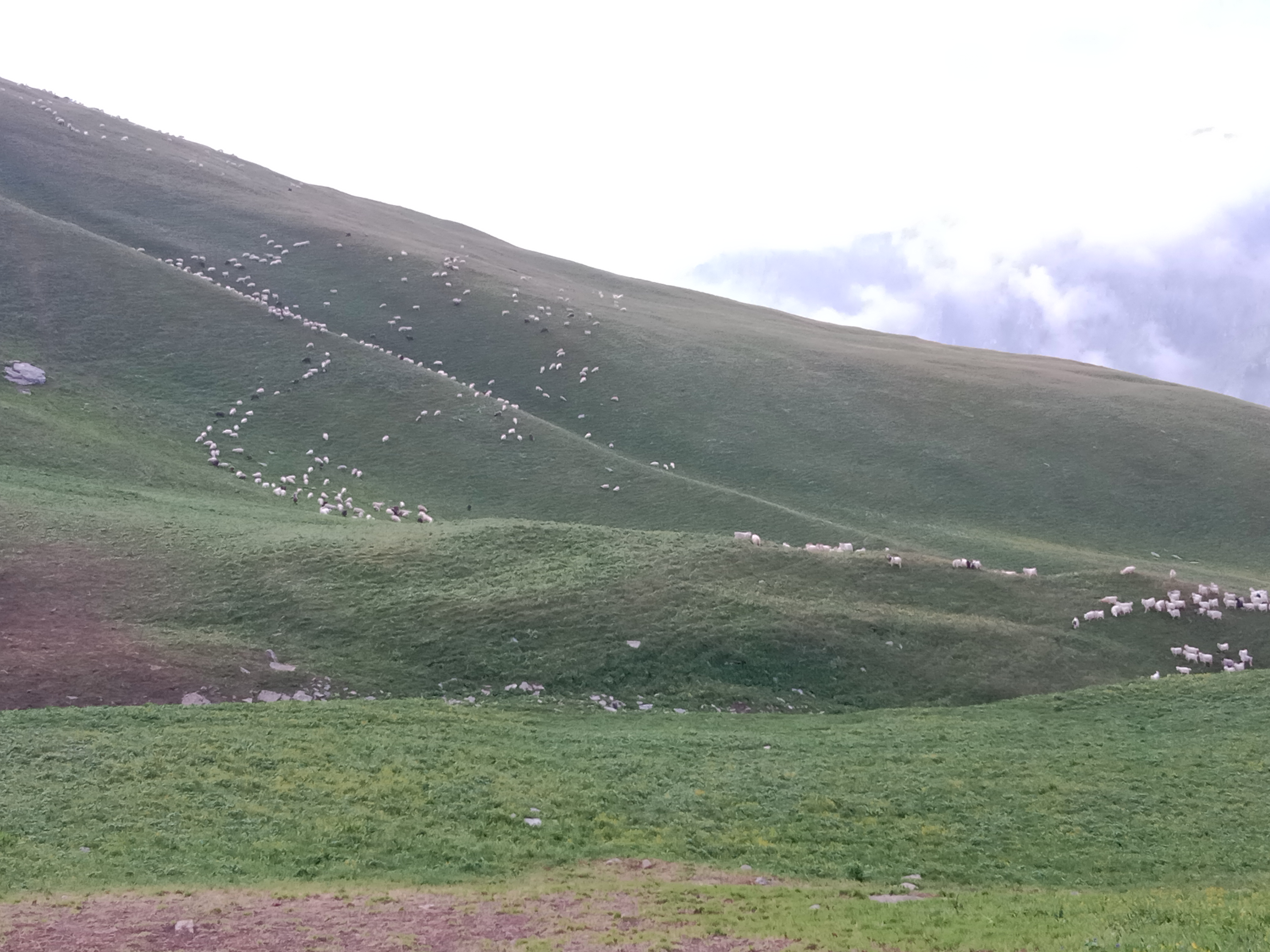 Phulara Ridge Trek